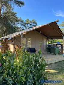 Glampingzelt Heide - Lodge - Image 1