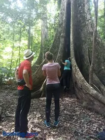 Tangkoko Ranger Homestay - Image 2
