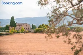 San Carlo alla Molinella - Image 3