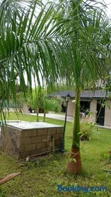 Finca Morita - Image 2