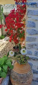 Grandpa's home - Image 2