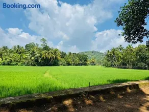 Villa Coconut Tree - Image 2