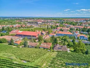 Weinbergnest - Image 1