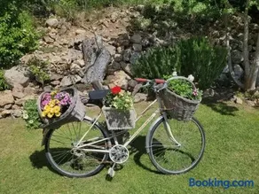 Villa Les palmiers en Provence - Logement cosy 4 pers - Image 5