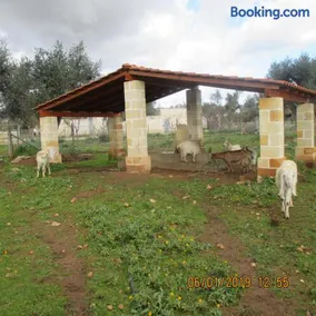 Masseria San Vito - Villa con Piscina - Image 2