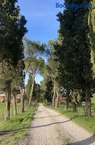 Azienda Agricola il Borgo di Sant'Elia - Image 1