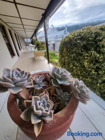 Lake Pleasant Hotel - Image 2