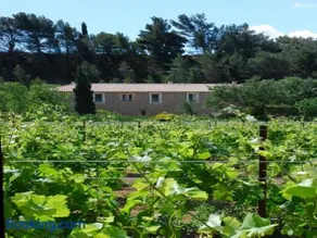 Domaine de "Creva-Tinas" - Image 2