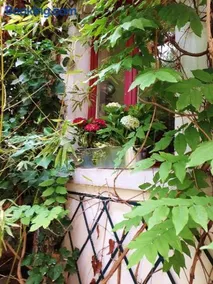 Le nichoir aux oiseaux - Image 2