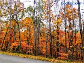 Best of both, private yet convenient, Clifton forge 17 mi, Roanoke 31 mi, Covington 30 mi, Daleville 17 mi ,Lexington 42 mi - Image 3