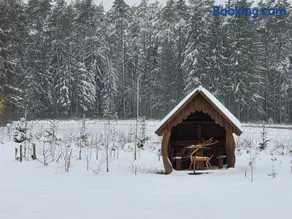 Agrosturystyka Leśna 21 - Image 1