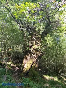 La Molnera - Image 4