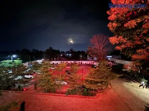 Sairaj Lawns - Image 2