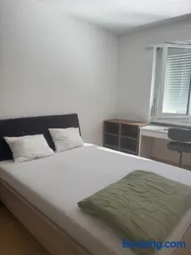 Basel Shared Apartment - Image 1