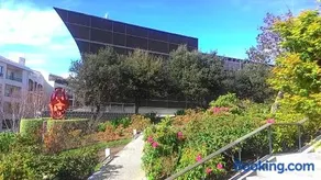 Le California - Image 4
