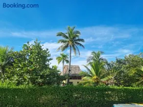 Hostal nido tortuga - Image 3