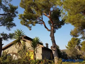 Villa Fior di Lavanda - Image 1
