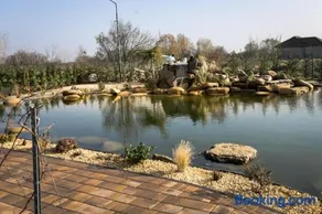 Armonia de pe lac - Image 2
