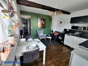 Appartement T2 "JUNGLE" Centre Ville de VITRÉ au calme coté cour - Image 2