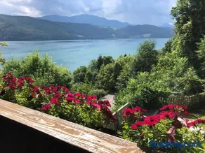 Seealm - Image 3