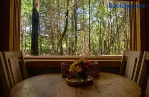 Cabin on Seven Acres with a Pond - Image 4