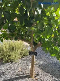 Casa , Dílar, Granada con jardin y piscina - Image 2