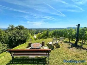 Tomajna Vineyard Stay - Image 4
