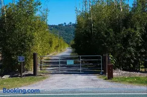 Orchard Cottage - modern Australian Sunshine Coast holiday cottage on organic farm nr beach - Image 4