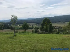 Sonniges Kellerstöckel im Schilcherland - Image 3