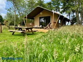 Veluwse boerderij beleving - Hoeve Meijer - Image 2