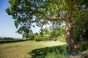 Little Idyll shepherds hut - Image 5