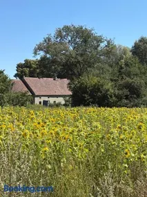 Agro Kaflarnia - Image 2