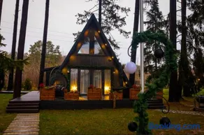 Pine house with sauna and hot tub - Image 3