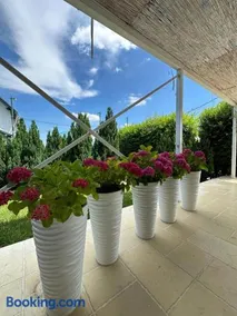 Green Oasis - Image 4