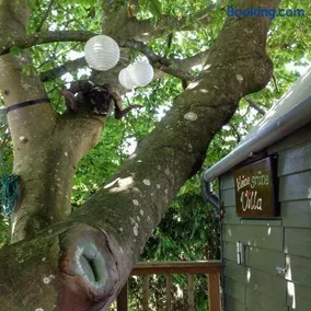 Treehouse escape - Image 5
