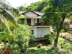 Habarana New Star Homestay - Image 2