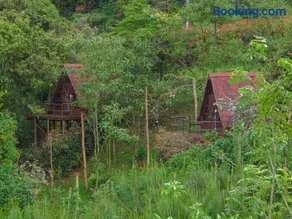Chalets en Santa Elena en medio del Bosque - Image 3