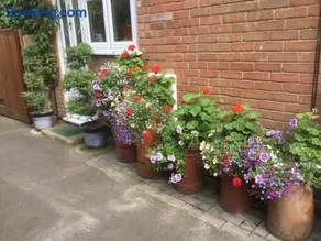 Albertine ,A warm welcome awaits you ,Offering en-suite room only accommodation,Ideal location for Solent Way ,High Street ,Isle of Wight ,New Forest - Image 3