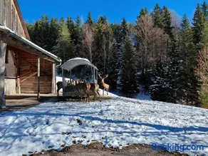 Bauernchalet Orainza - Image 4
