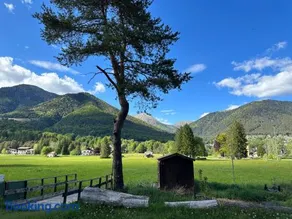 Camping la Pineta - Image 1