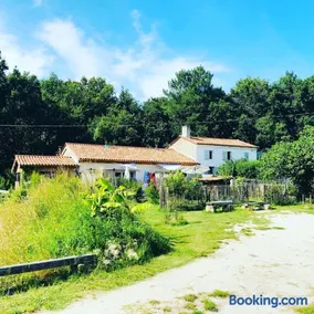 LES VACANCES AUX CERCINS - Image 1