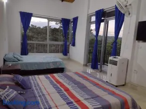 FINCA LA AMISTAD - Image 3