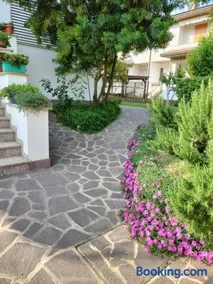 B & B Le Mimose - Image 5