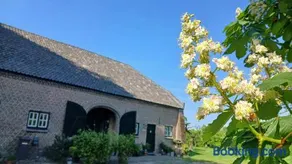 B&B Boerderij La Trappe Deurne - Image 3