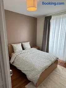 Bel appartement entièrement rénové - Image 1