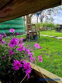Het binnenerf yurt en keetjes - Image 5