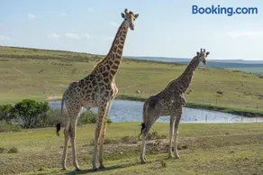 Hartenbos Private Game Lodge - Image 2