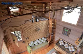 La Casa Del Árbol De Chiloé - Image 5