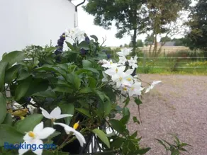 Lägenhet Lillisgården - Image 2