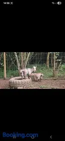 The Mid Devon Retreat - Image 2